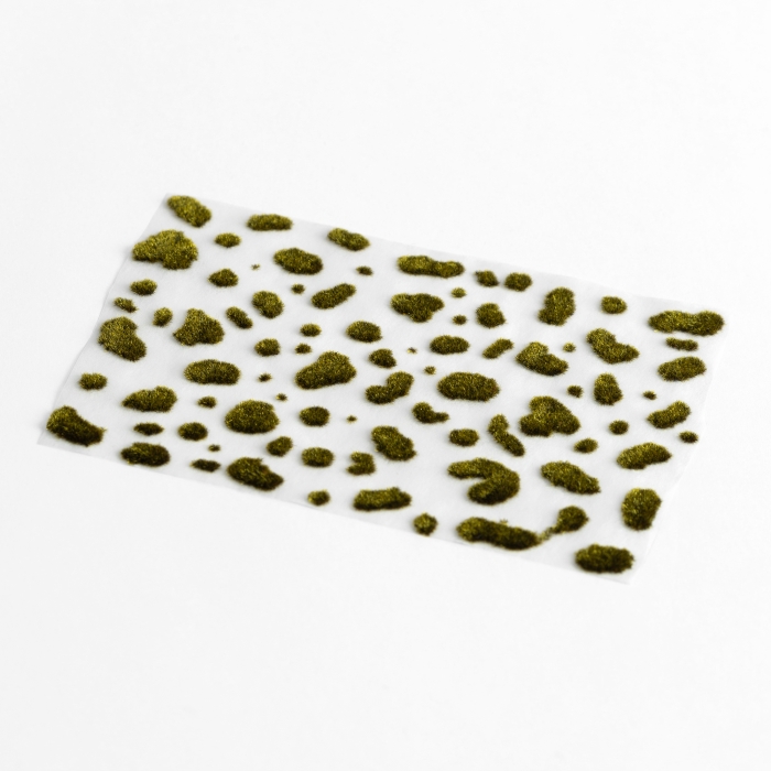 Golden Aurora - Moss Pads - Image 2