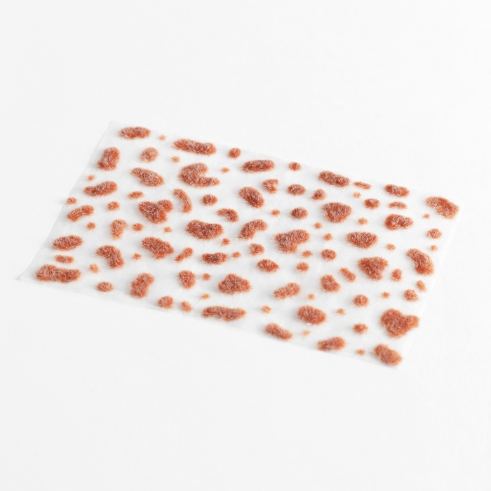 Pumpkin Patch - Mosstufts - Image 2