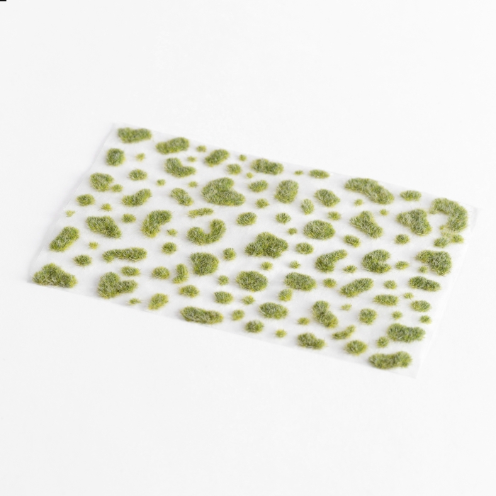 Succulent Botany - Mosstufts - Image 2